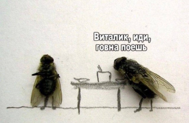 Подборка черного юмора. 18+