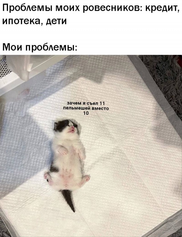Картинки и мемы для настроения - 23