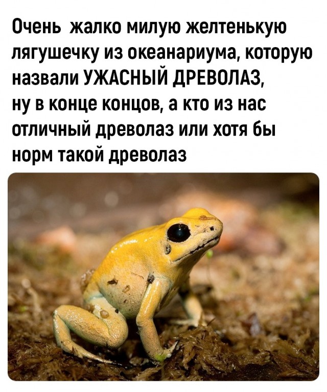 Так себе картинки 06.07.22