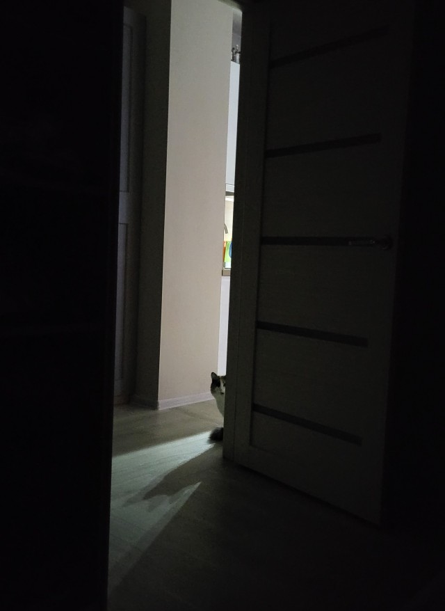 Доброе утро, ЯП
