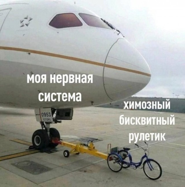 Нуштош 14.04.2023