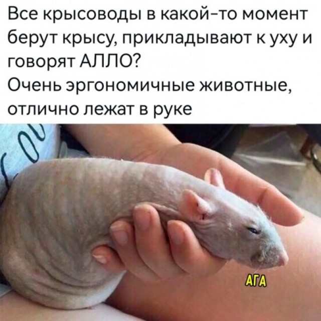 Картинки и мемы, всяко разно - 179
