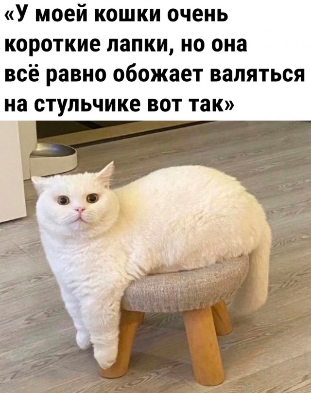 Так себе картинки 12.07.23