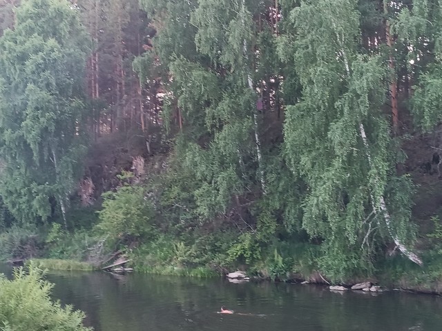 Сплав по реке Белая. Башкирия.