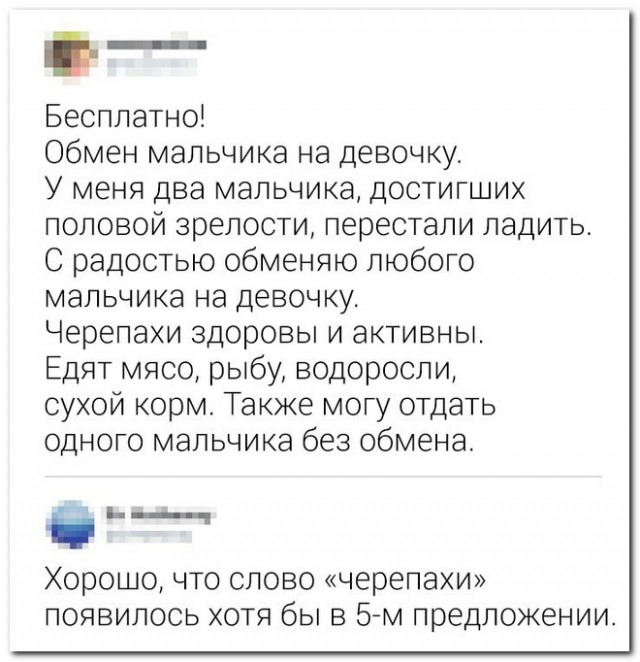 Забавные комментарии из социальных сетей (28.08.23)