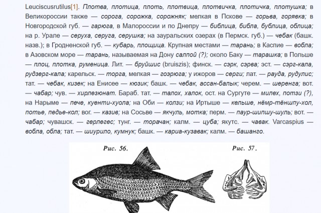Рыбалка на Азовском море