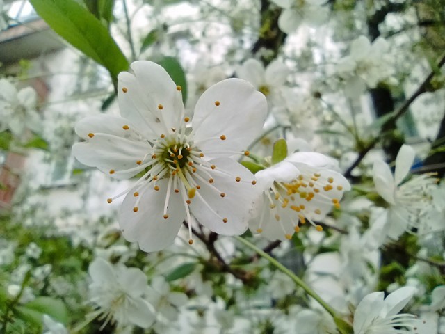 Невероятные приключения