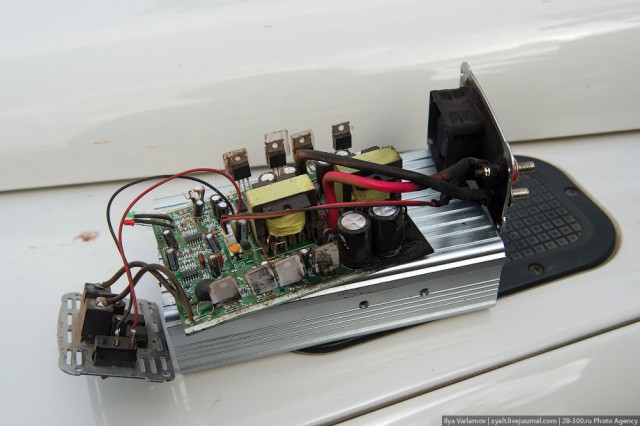 Только крокодилы спасут эту страну от мудаков!