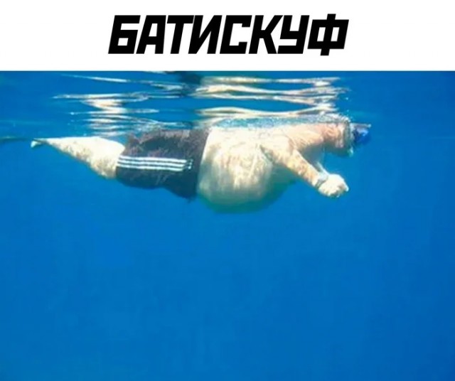 Весёлый полтишок 10.07.24