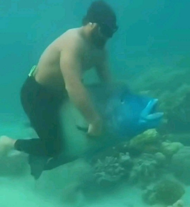 Картинки из мусорной корзины 14.07.24
