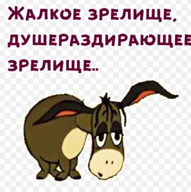 Эпичнее замеса вы сегодня уже не увидите