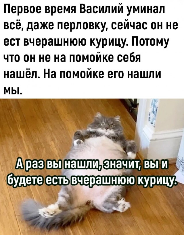 Юмор в картинках и без