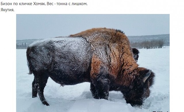 Смешал, но не взбалтывал: 10.08.24
