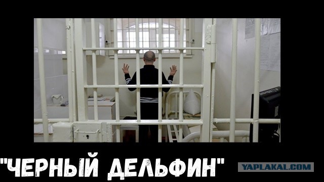 Искусство из зоны