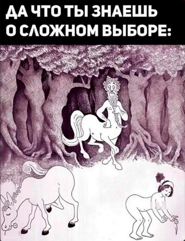 Веселые картинки к пятнице (30.08)