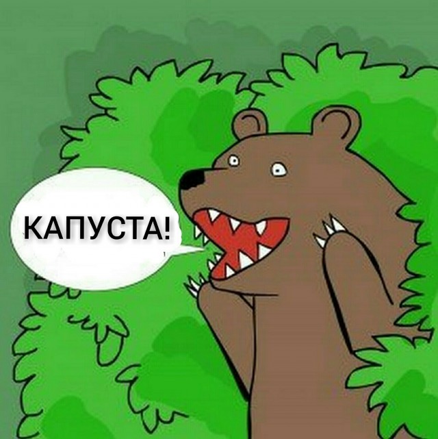 Когда выросла капуста