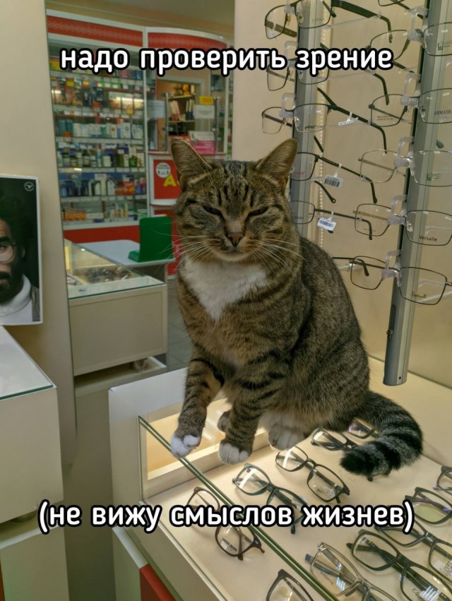 Нуштош 05.11.2024