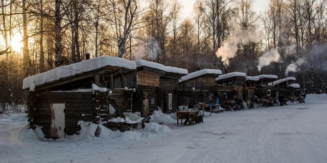 Тайга зимой