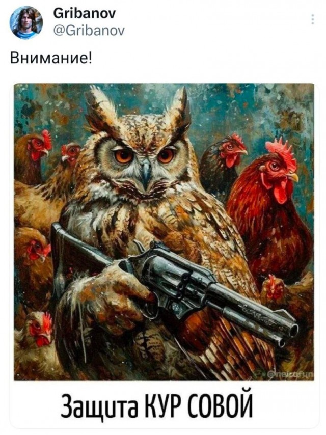 Куры под защитой