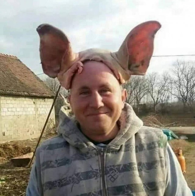 Куда делись квадроберы?