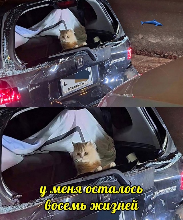 Так себе картинки 25.02.25