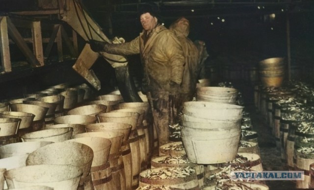 Фотографии из прошлого нашей страны – 93