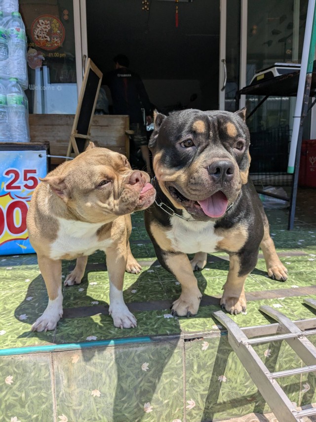 Бутан, таинственный Бутан