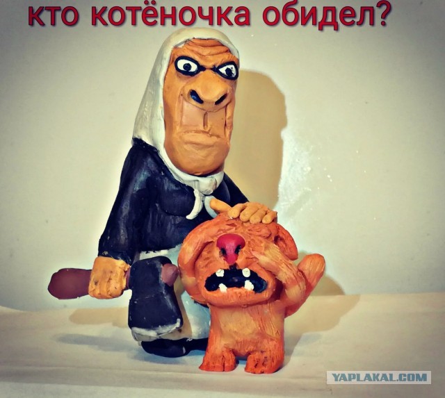 Поспать не дадут