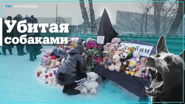 А может это и была проверка людей на человечность ?