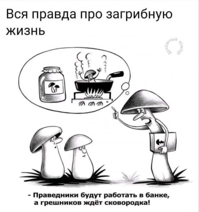 Веселые картинки в пятницу (25.07)