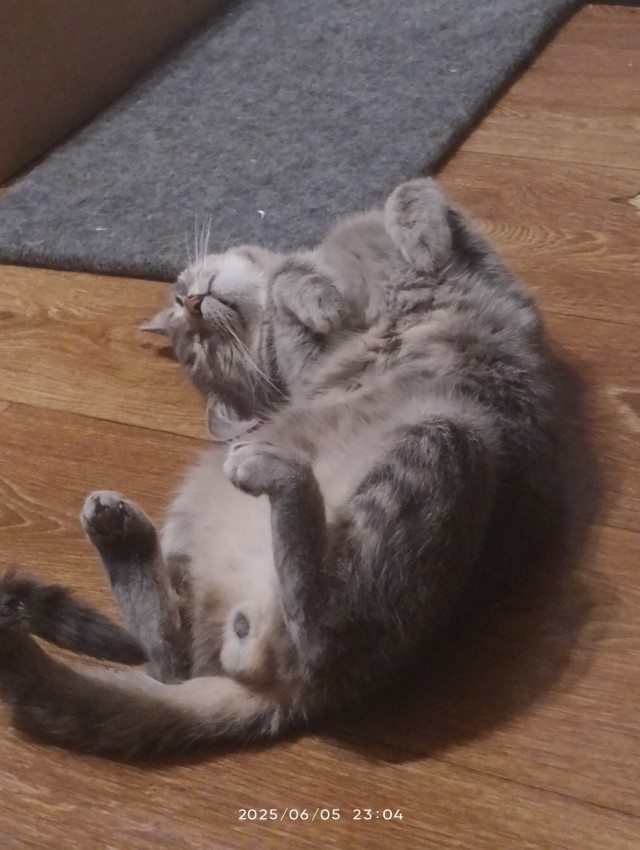 Его первый вторник