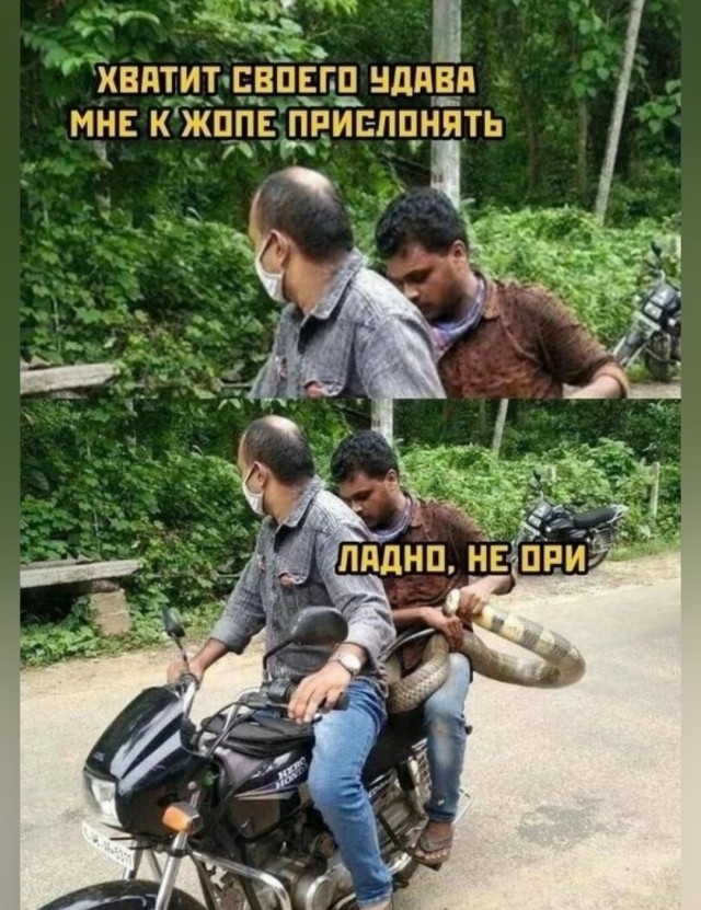 Веселые картинки в маленькую пятницу (10.09)