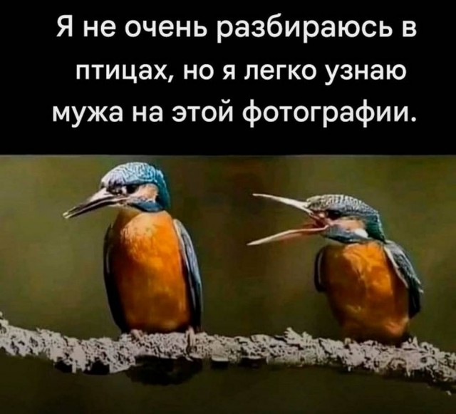 Дело житейское