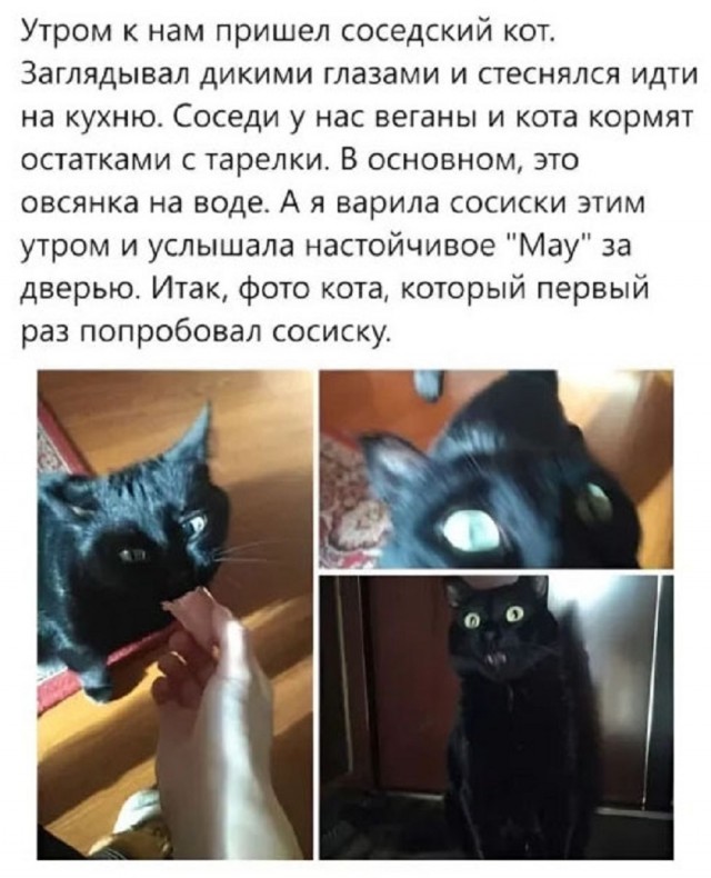 Так себе картинки 03.11.25
