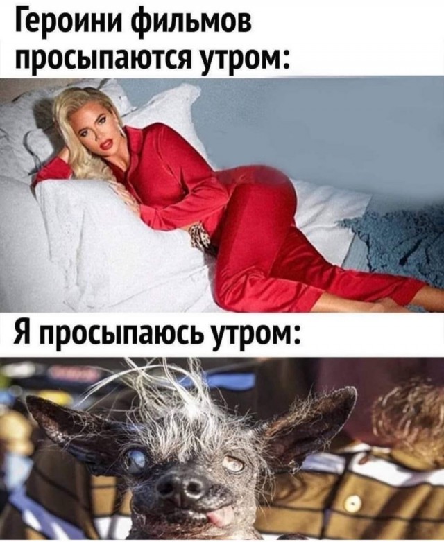 Субботние картинки
