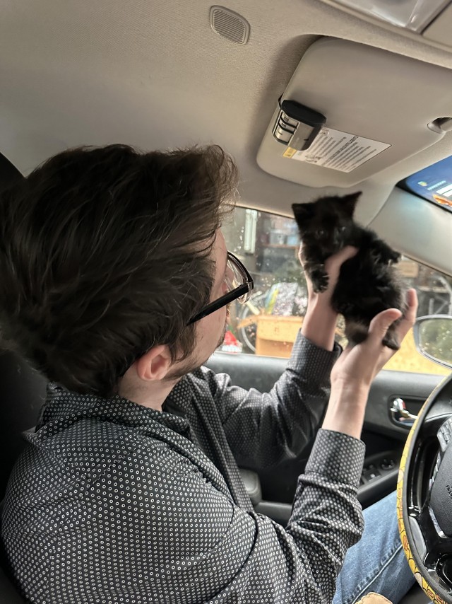 Чëрный, смелый, маленький (котовторник)