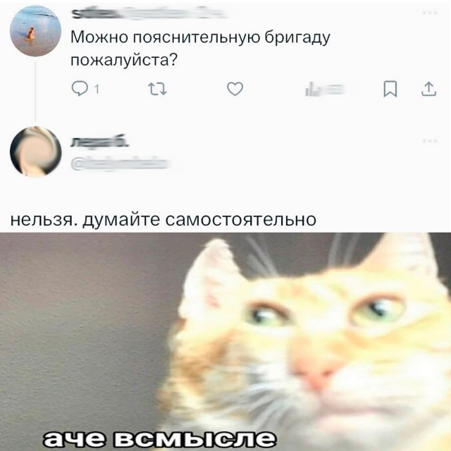Картинки для деградации 88 (разной степени свежести)