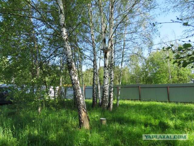 Бронедом-2
