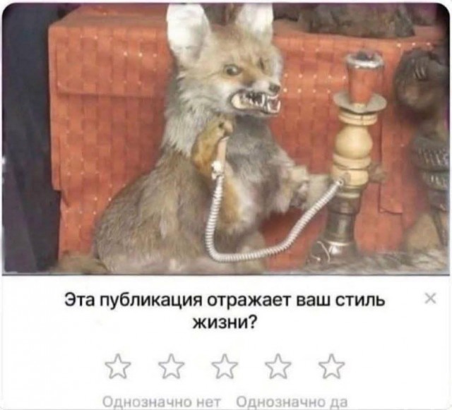 Маленькая пятница 26.11