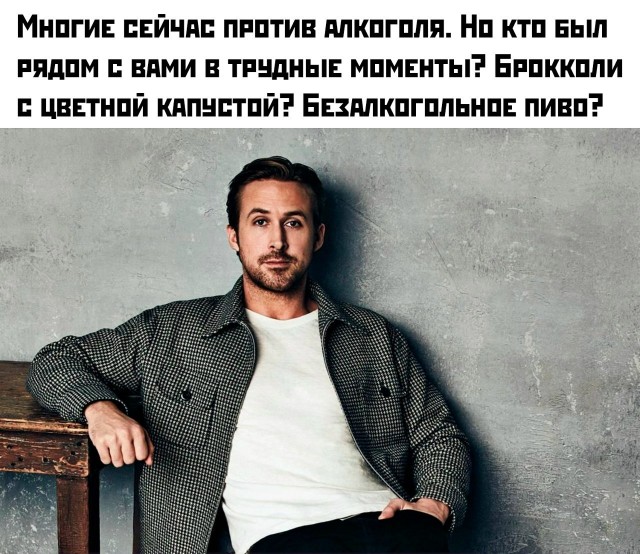 Веселых картинок вам в ленту