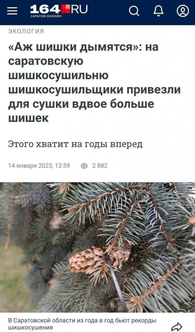 Картинки для деградации 132 (разной степени свежести)