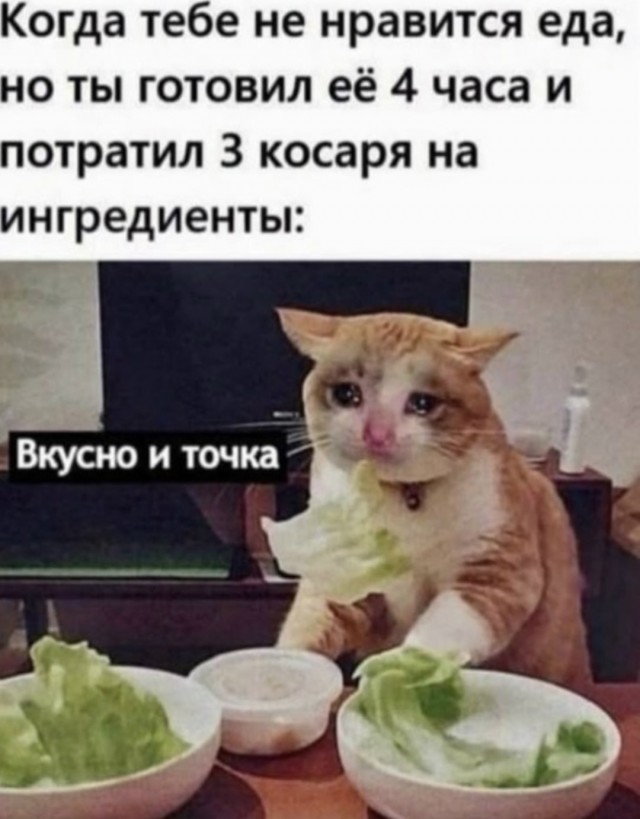 Картинки для деградации 167 (разной степени свежести)