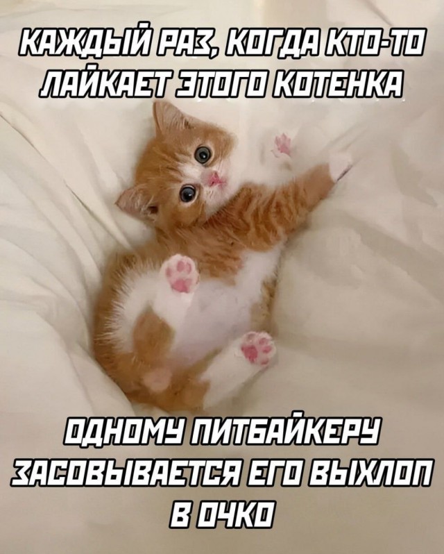 Нуштош. Убийство зрителя (s5e7)