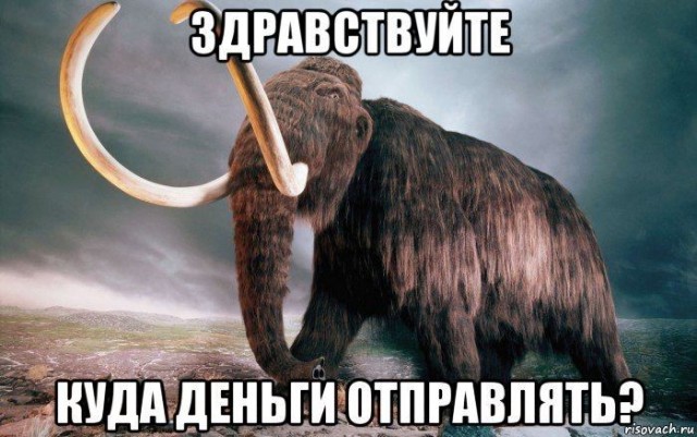 Акция Яндекса оказалась мошенничеством