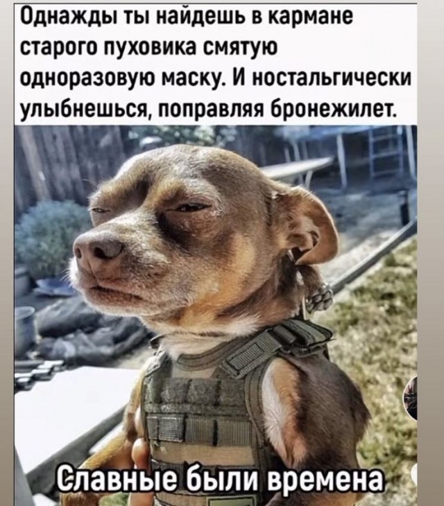 Картинки для деградации 258 ( разной степени свежести)