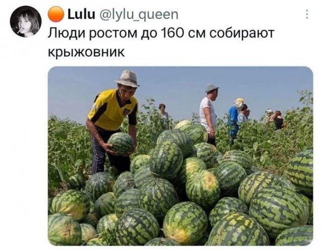 Пятничные бояны