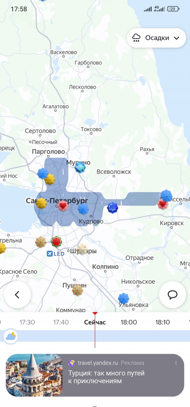 Гигантский кот накрыл Питер