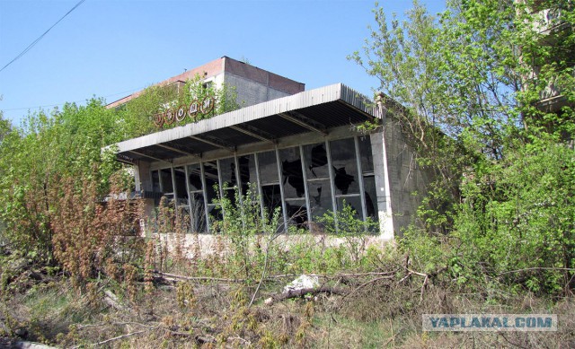 Зима в Зоне Отчуждения