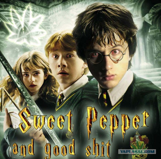 Я не нюхал кокс )