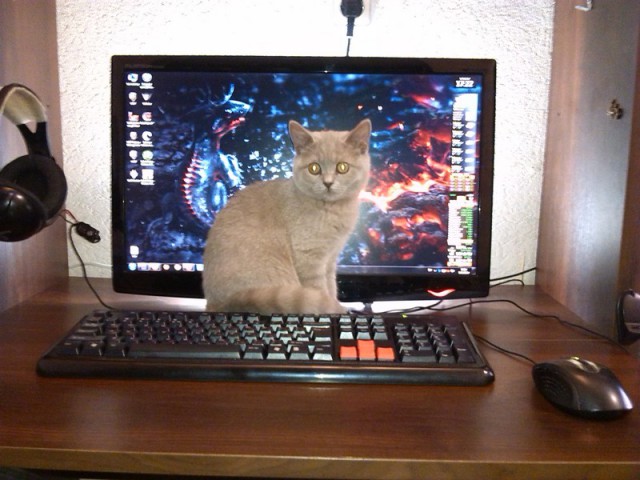 Wargaming 11